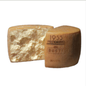 PECORINO 1955 BUSTI